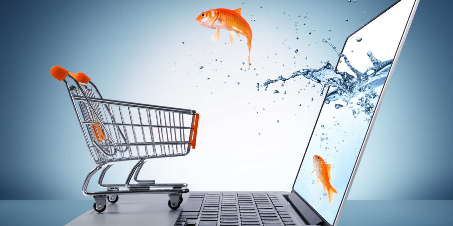 goldfish in cart – e-commerce concept