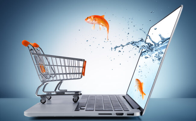 goldfish in cart – e-commerce concept