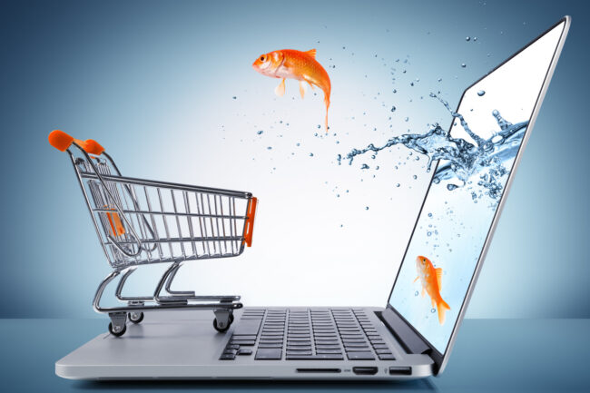 goldfish in cart – e-commerce concept